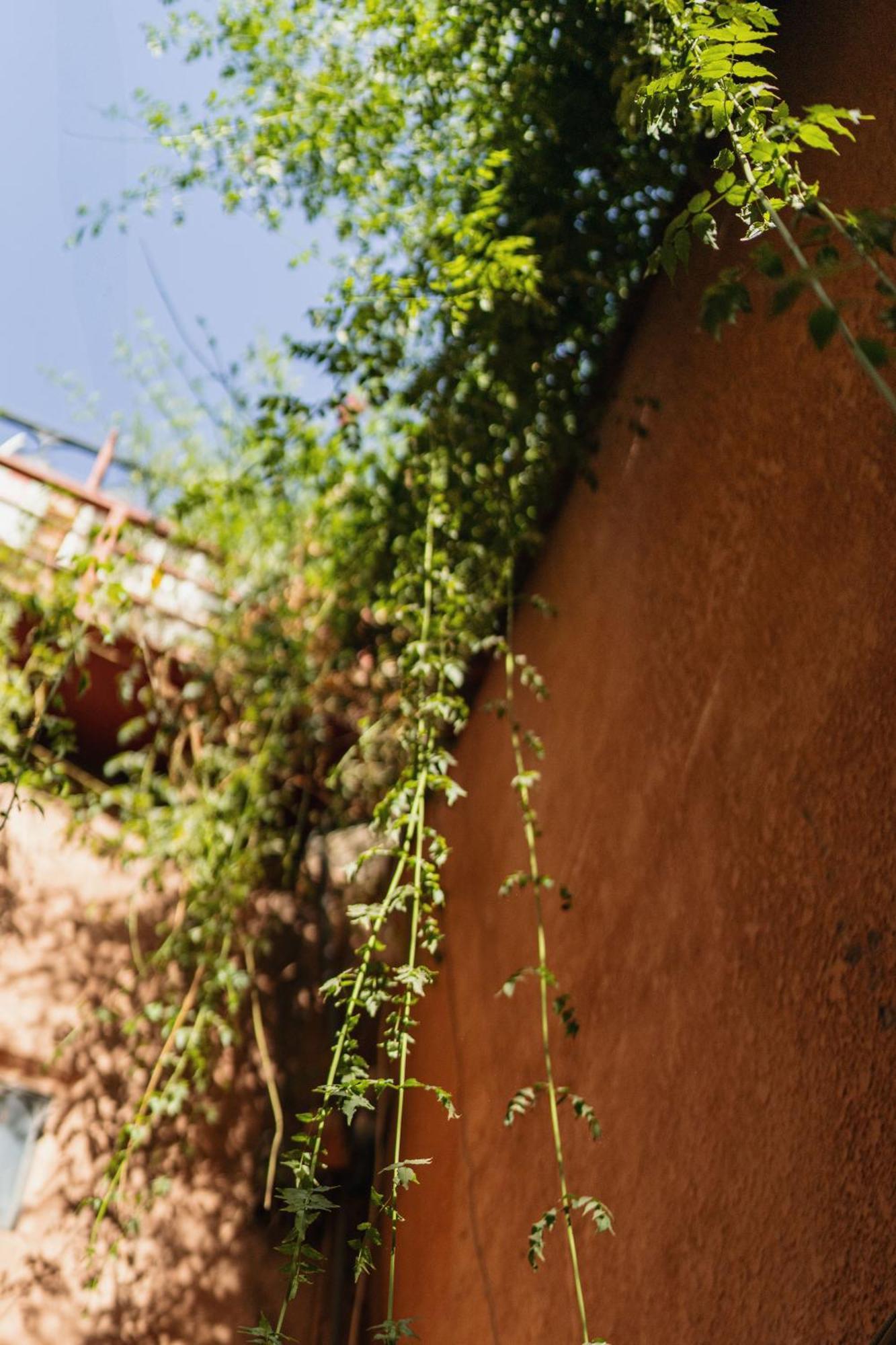 Riad Senja Marrakesh Esterno foto